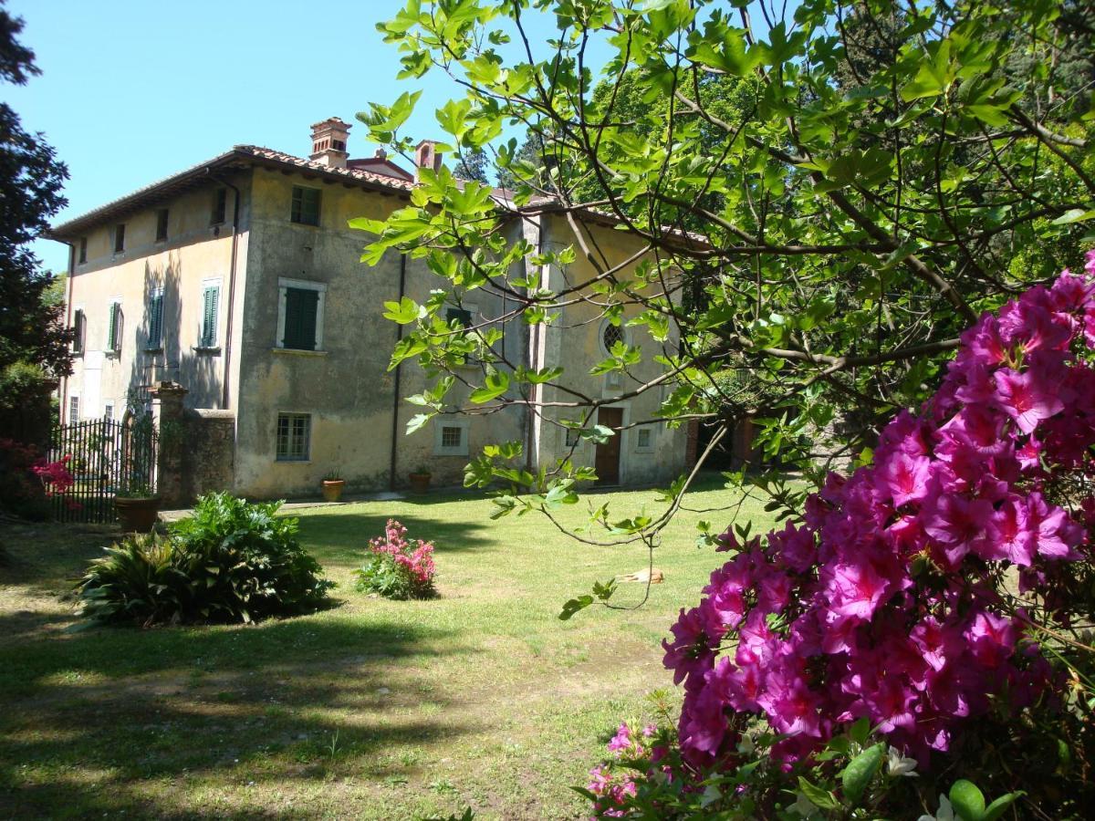 Bed & Breakfast Villa Masini-Luccetti ปิเอตราซานตา ภายนอก รูปภาพ